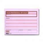 V-01 Vale provisional de caja Formitec
