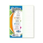 Papel Seguridad Tamaño Carta 90 gramos color verde JLM