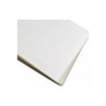 Mica Térmica jumbo Carta 229x292mm Pmt1 por/pz