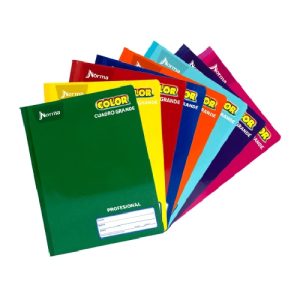 Libreta Cosida Norma Color C7 100 Hjs
