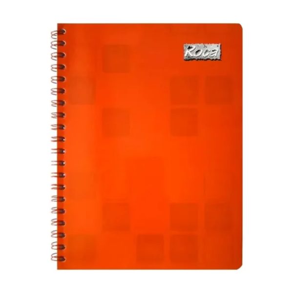 Libreta profesional doble espiral 100hjs Roca cuadro 7mm - Imagen 3