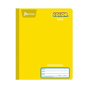 Libreta Profesional Norma Color Cosida Rayas 100 hjs